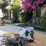 Gorkem Gocek (Fethiye)