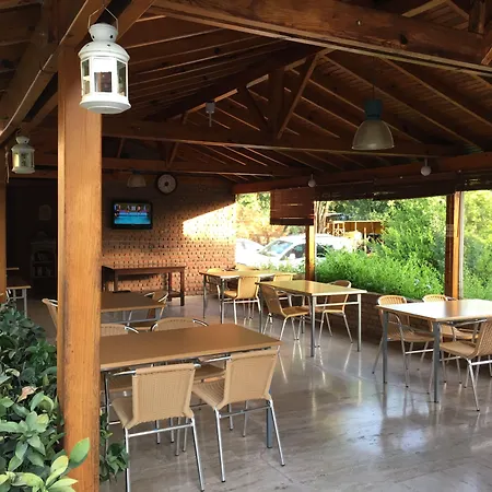 Gorkem Gocek (Fethiye)