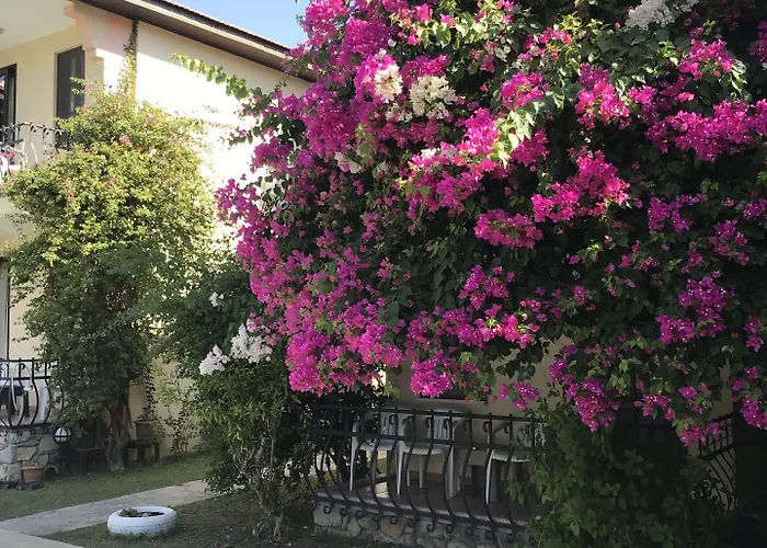 Gorkem 호텔 교젝